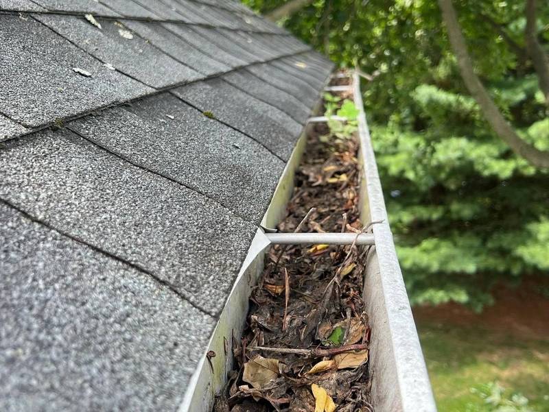 Gutter Cleaning